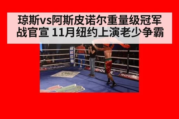 琼斯vs阿斯皮诺尔重量级冠军战官宣 11月纽约上演老少争霸